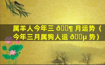 属羊人今年三 🐶 月运势（今年三月属狗人运 🐵 势）